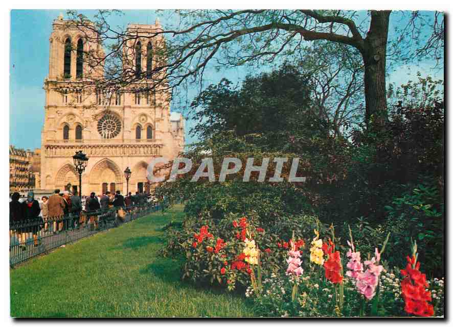 CPM Paris La Cathedrale Notre Dame 