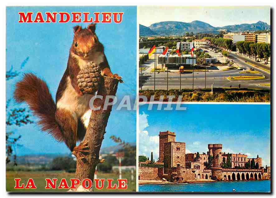 CPM Cote d'Azur Mandelieu La Napoule Entree de l'Autoroute Chateau de la Napoule Ecureuil