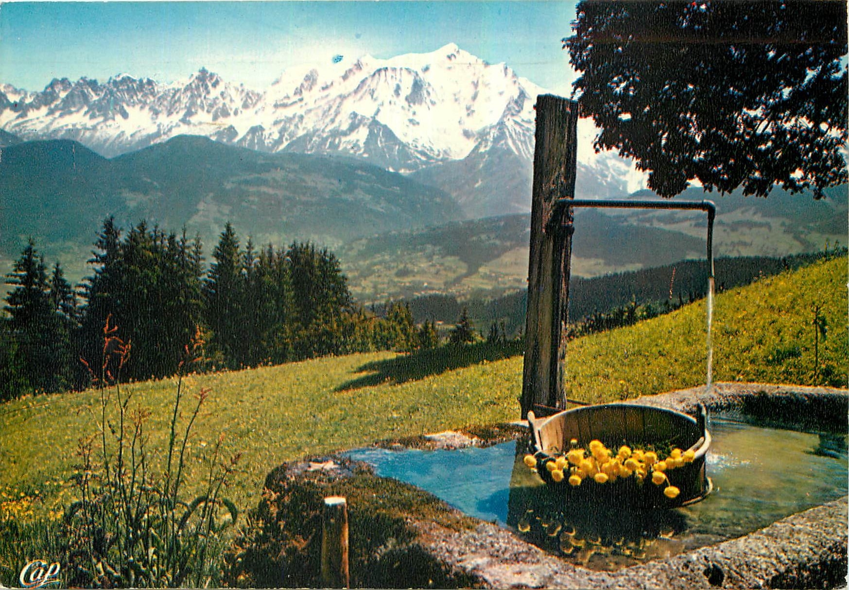 CPM Au Pays du Mont Blanc Panorama sur le Massif depuis Cordon 