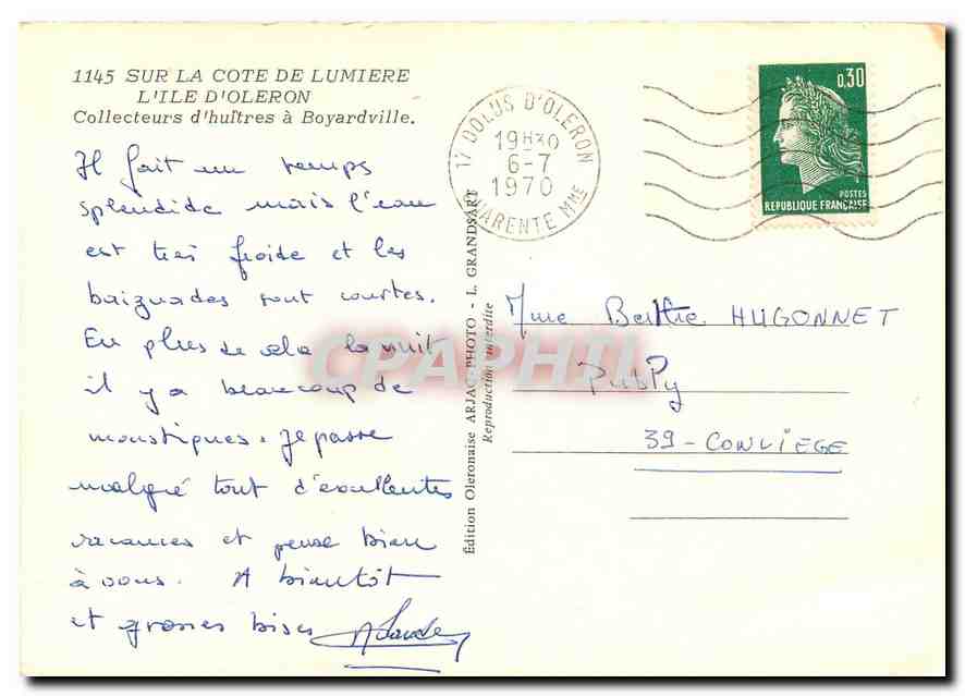 CPM Sur la Cote de Lumiere l'Ile d'Oleron Collecteurs d'hultres a Boyardvill  — Back