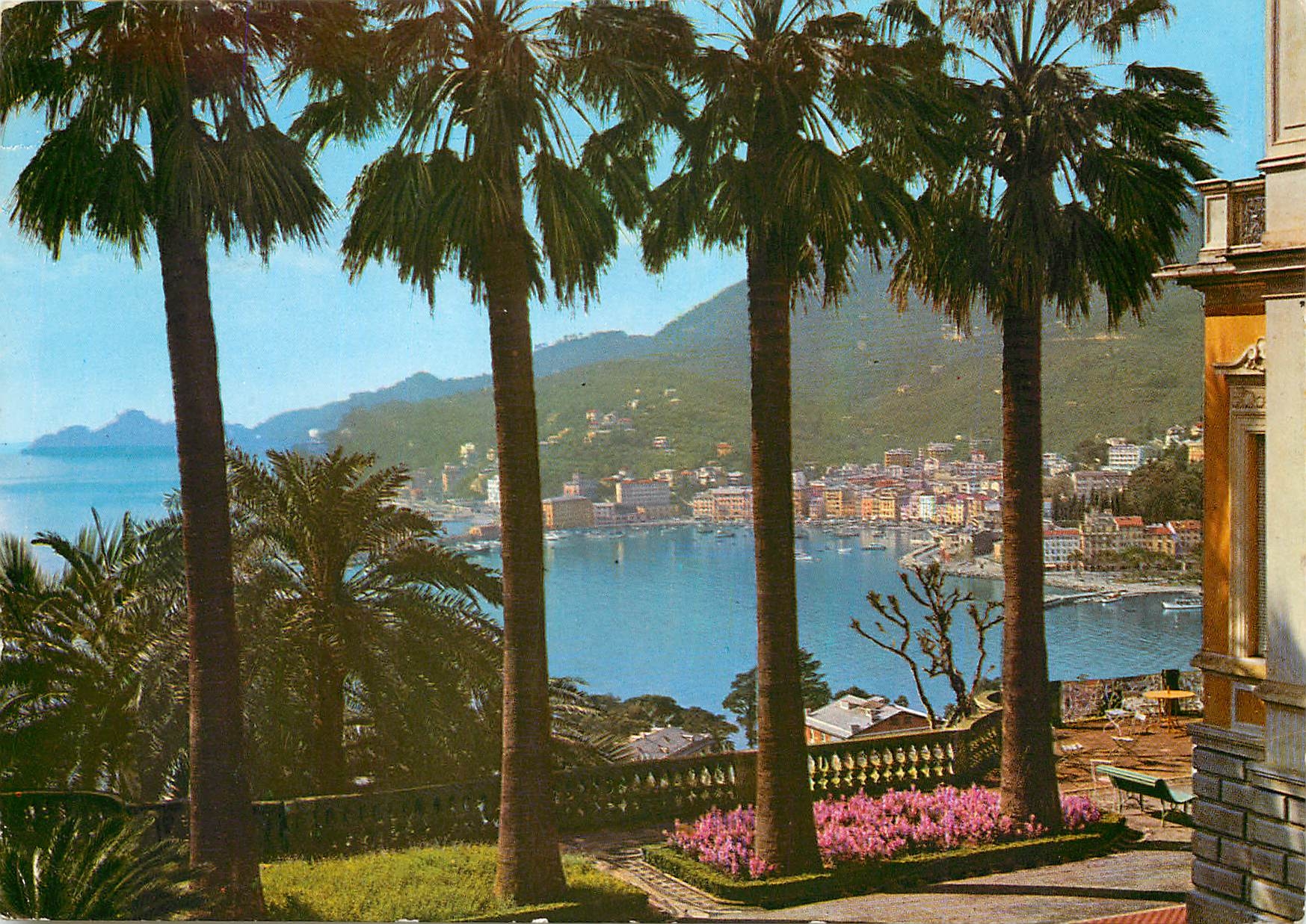 CPM Margherita Ligure vue entre Palmiers 