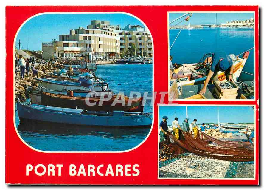 CPM La Cote du Roussillon Port Barcares Pyr Or Le port Retour de la peche a la sardine 