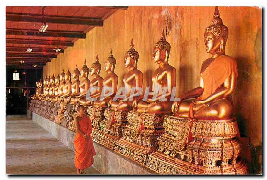 CPM A Gallery of Buddha Statues in Wat Pho Bangkok 