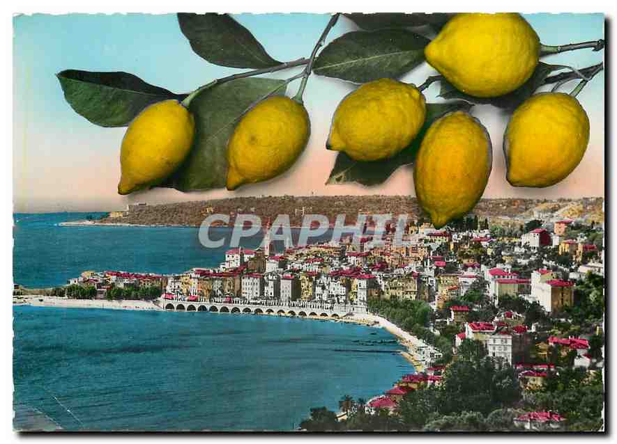 CPM La Cote d'Azur Menton Vue generale Les Citrons 