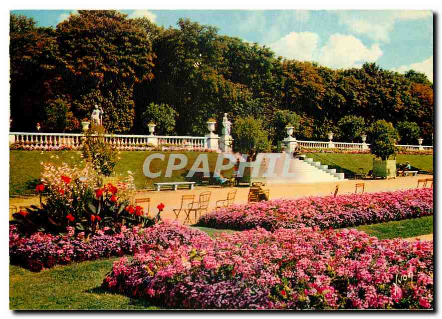 CPM Couleurs et Lumiere de France Paris Jardin et Terrasse du Palais du Luxembourg 