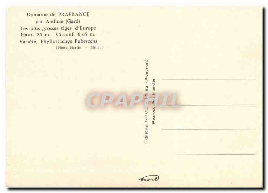 CPM Domaine de Prafrance par Anduze Gard Les plus grosses tiges d'Europe Bambous — Rückseite