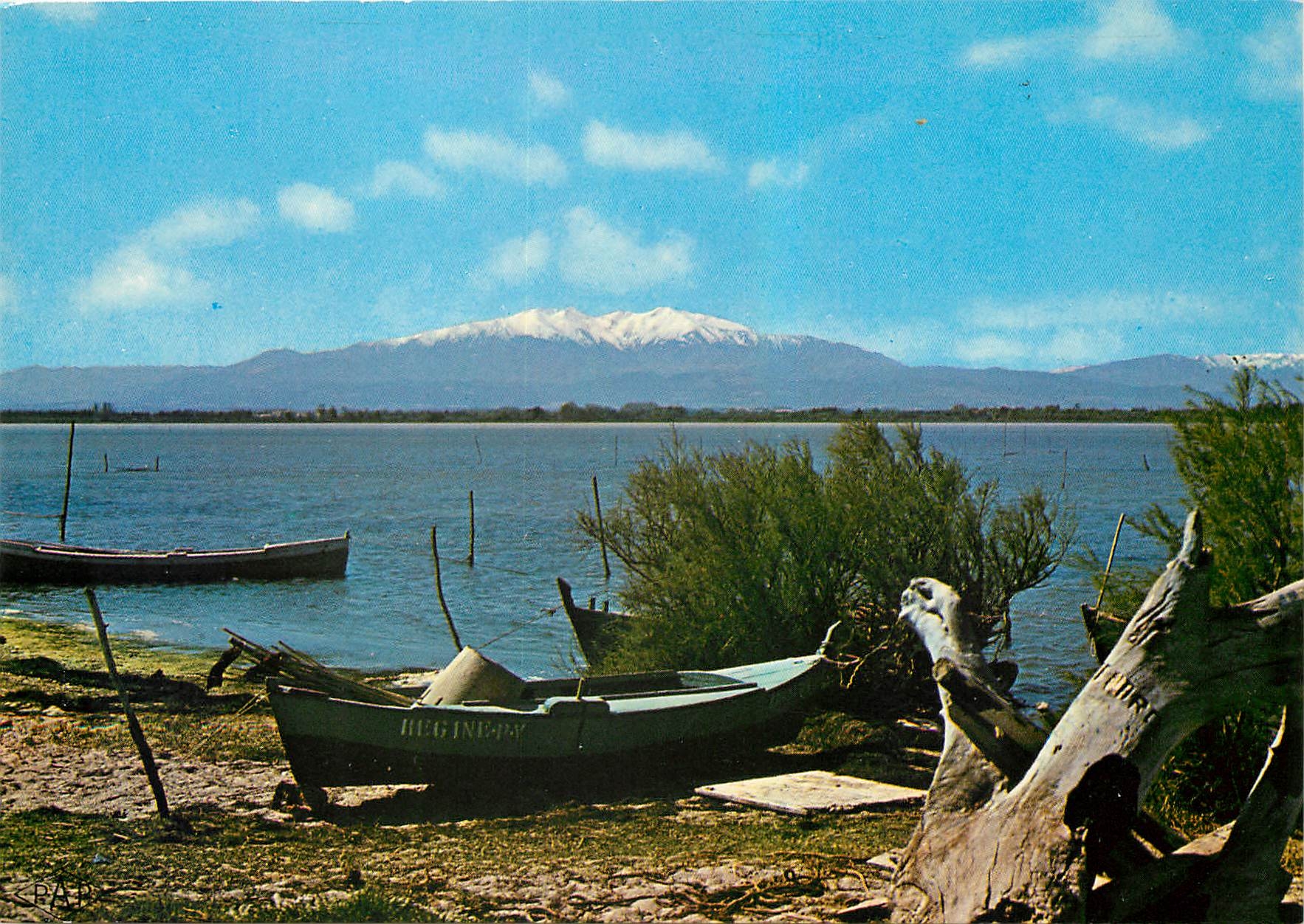 CPM Le Roussillon Des Etangs vue sur le Canigou 