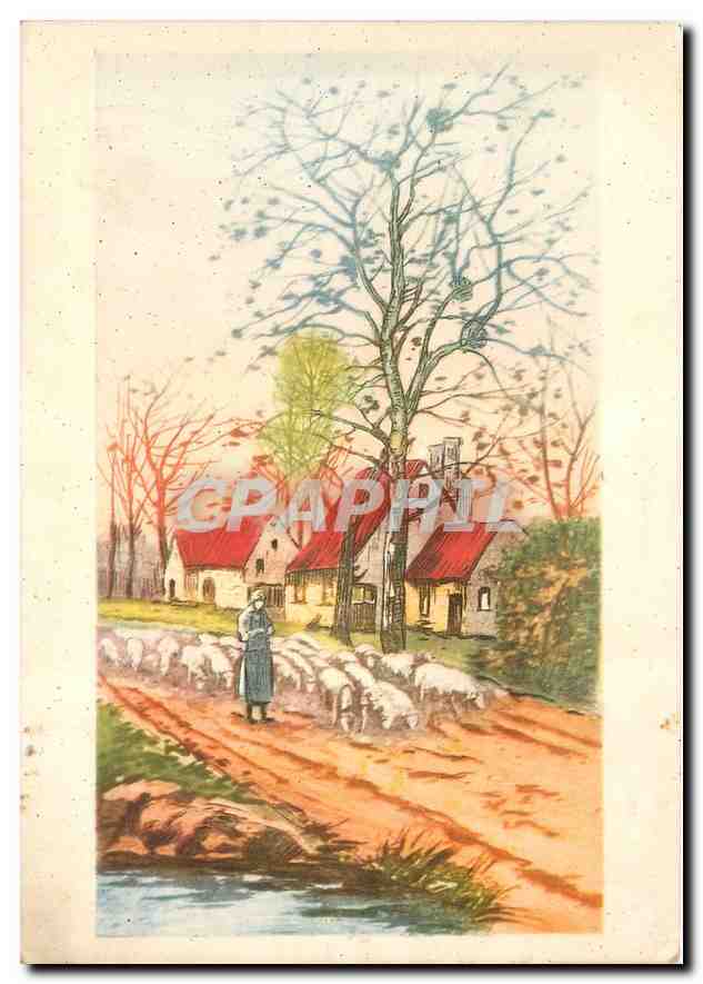 CPM Bergere Moutons