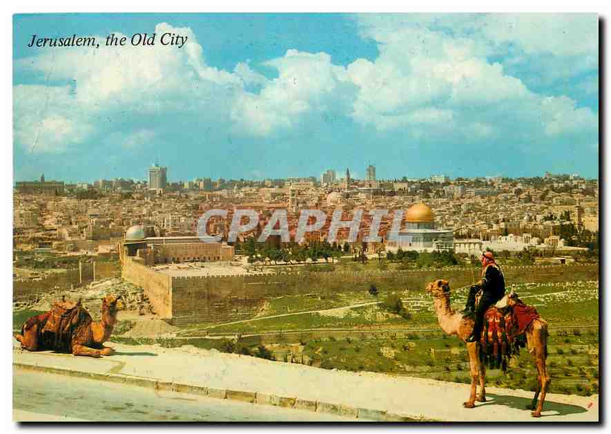 CPM Jerusalem la Vieille Ville vue du Mont des Oliviers 