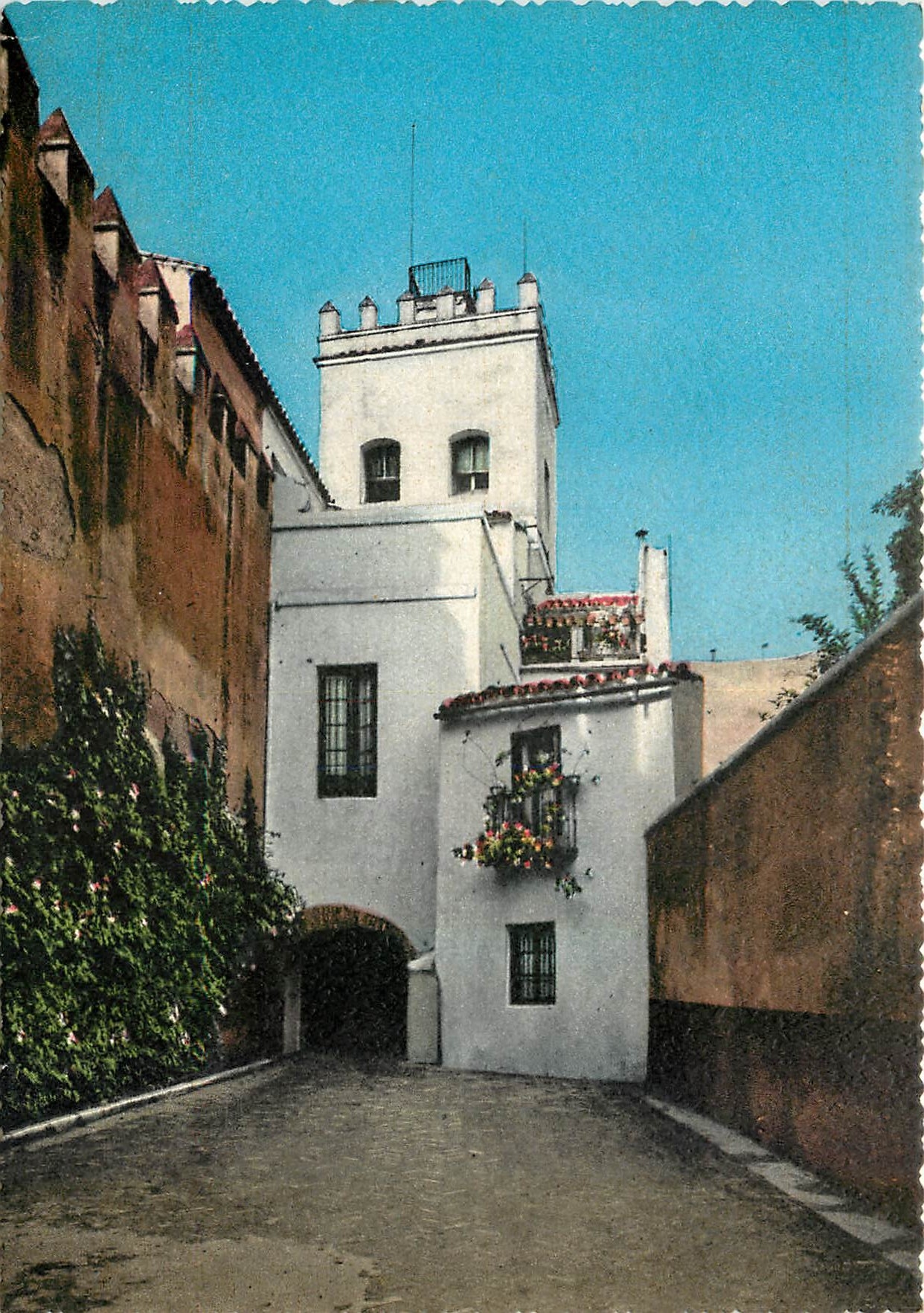 CPM Sevilla Terreon de la Juderia Quartier de Santa Cruz 