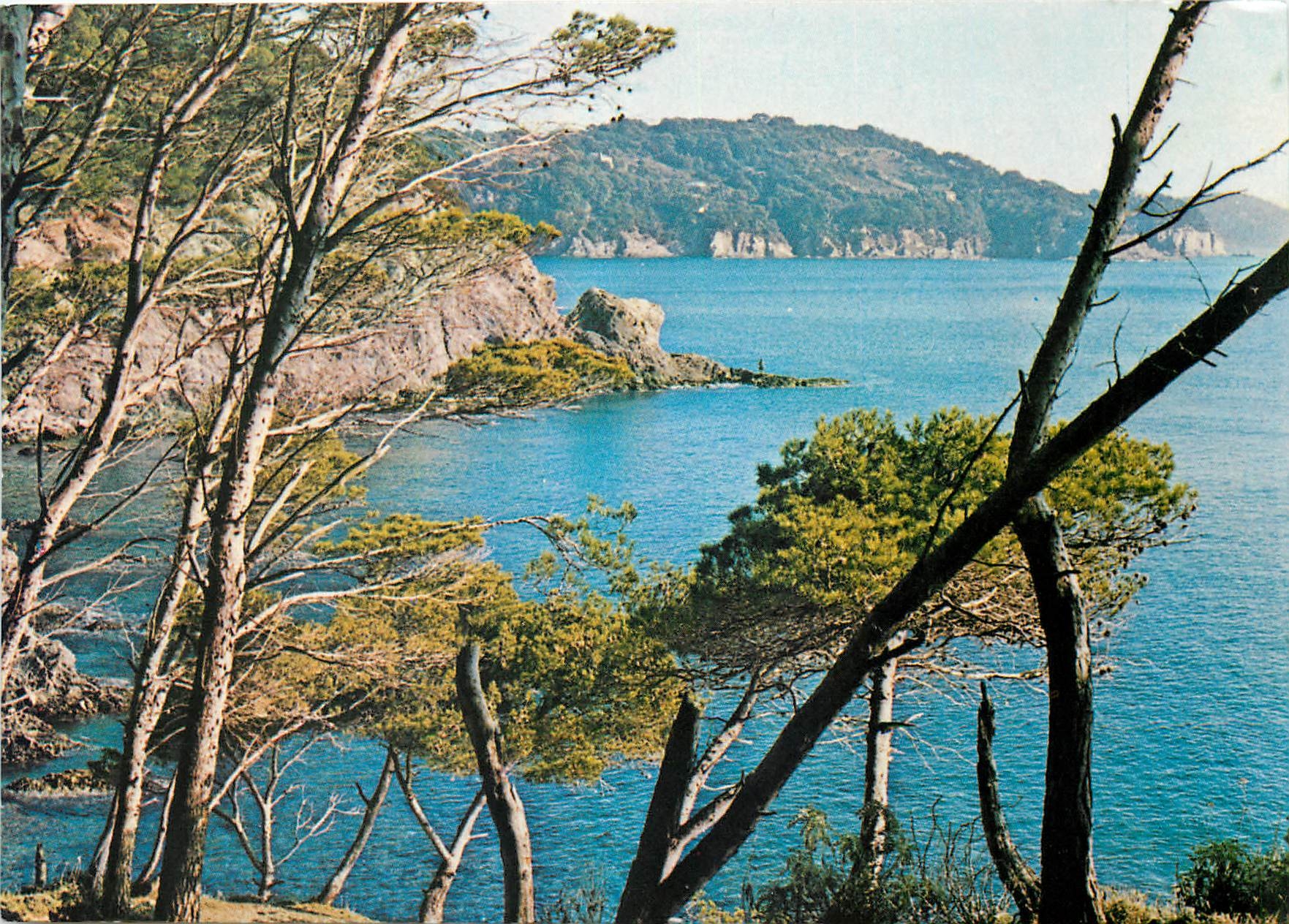 CPM Hyeres les Palmiers la Presqu'Ile de Giens 
