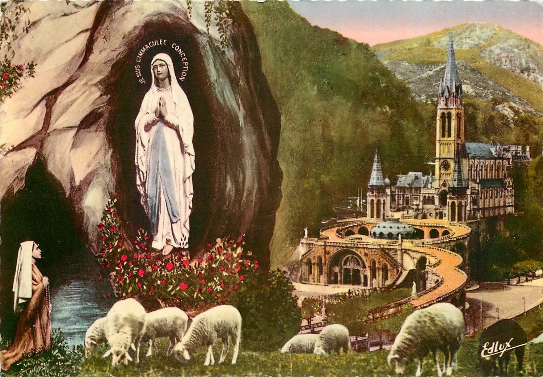 CPM Lourdes La Basilique et l'Apparation 