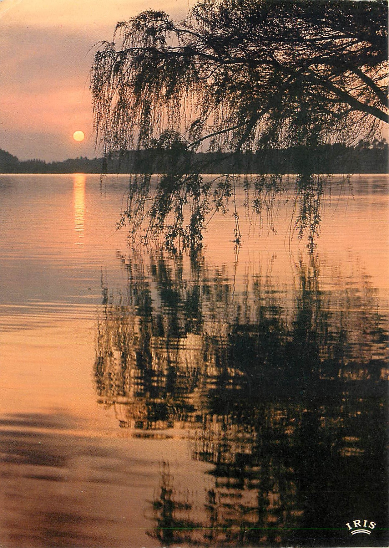 CPM l'etang reflete Profond miroir La Sihouette 