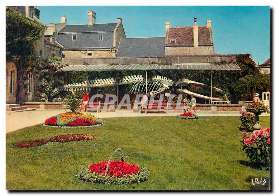 CPM Luc sur Mer La Baleine du Jardin public 