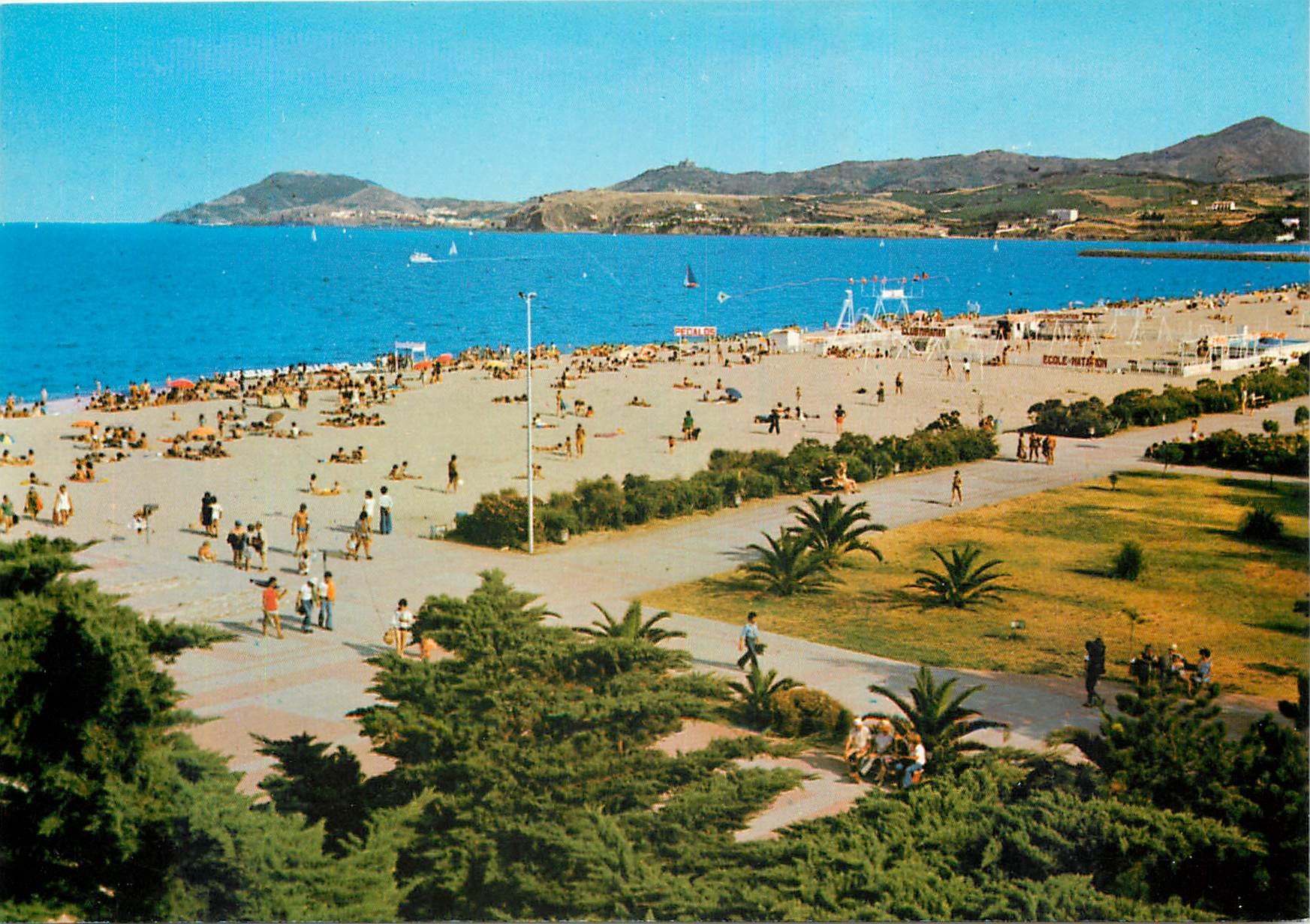 CPM Lumiere et couleurs de la Cote Catalane Argeles sur mer La promenade et la plage Au fond 