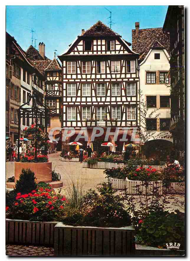 CPM Strasbourg Bas Rhin La place du marche aux cochons de lait 