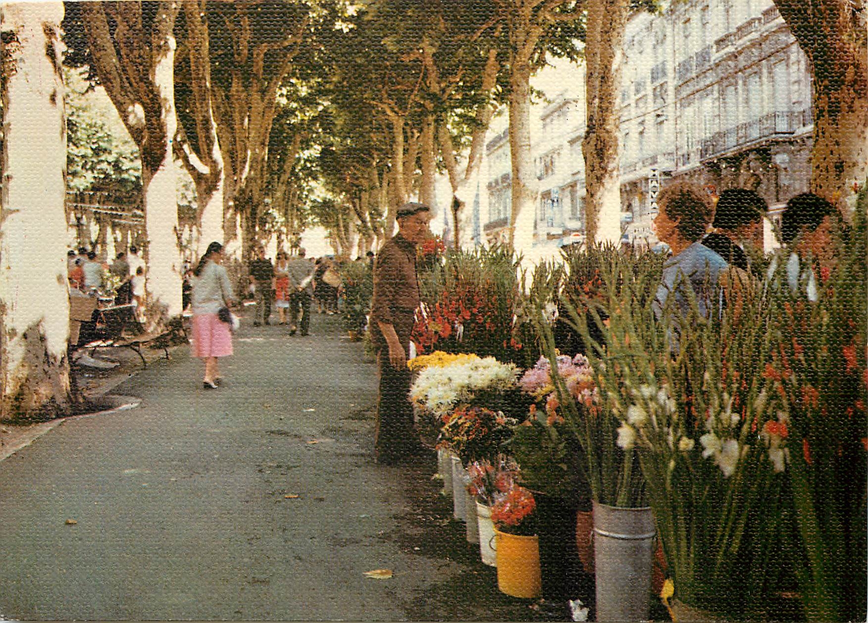 CPM Beziers Herault Marche aux fleurs sur les allees Paul Riquet 