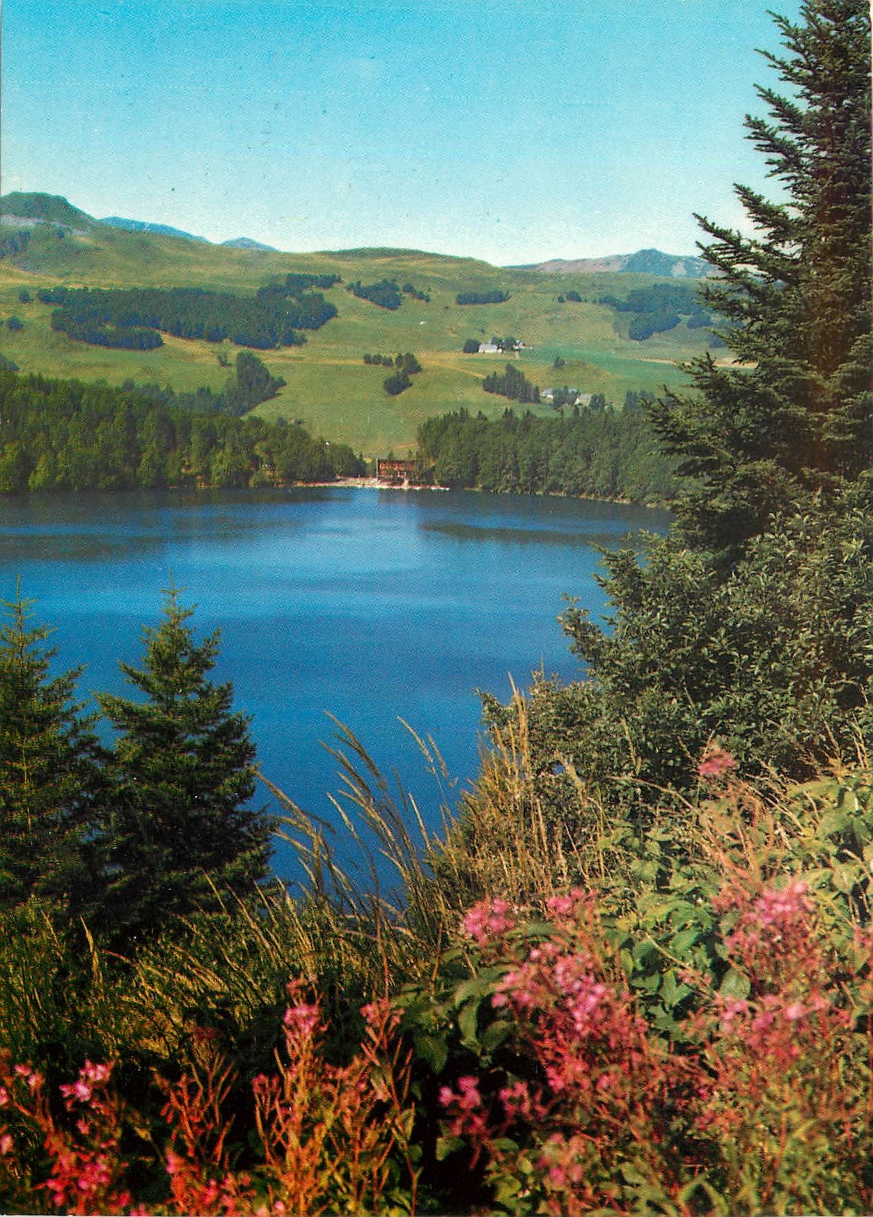 CPM l'Auvergne touristique Le Lac Pavin Au fond le Massif du Sancy 