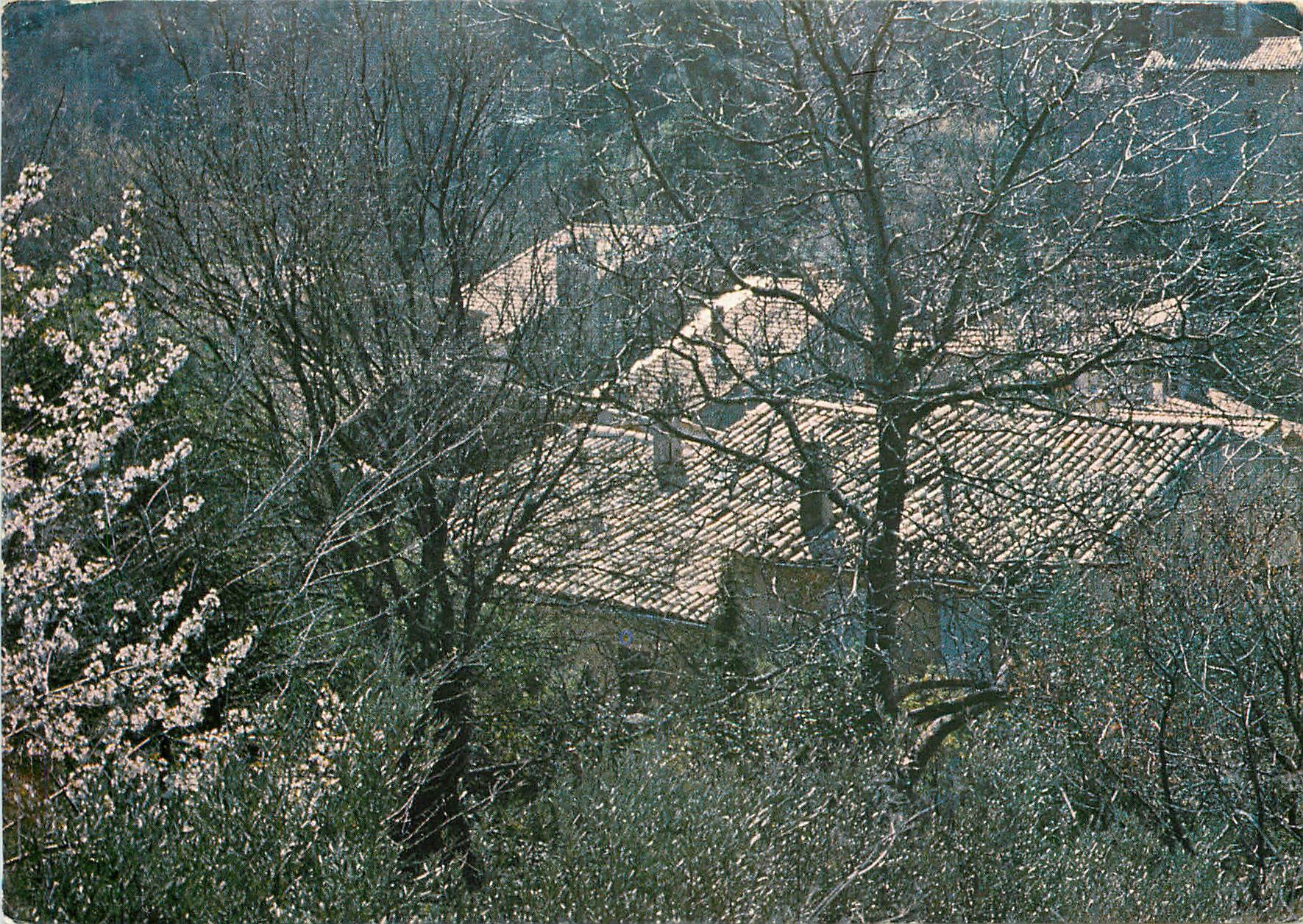 CPM Masure Arbres