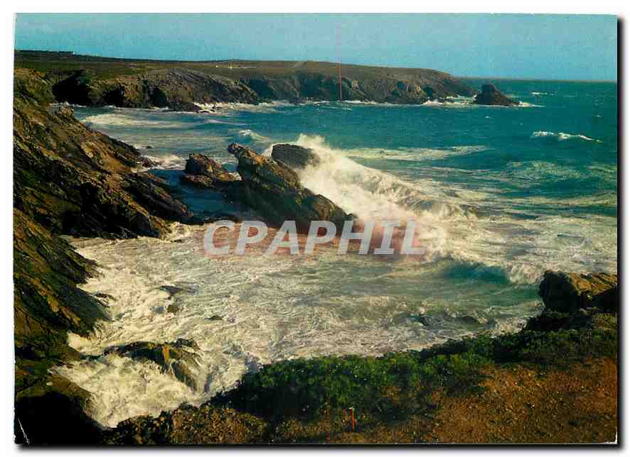 CPM La Cote Sauvage Presqui'Ile d Quiberon Morb 
