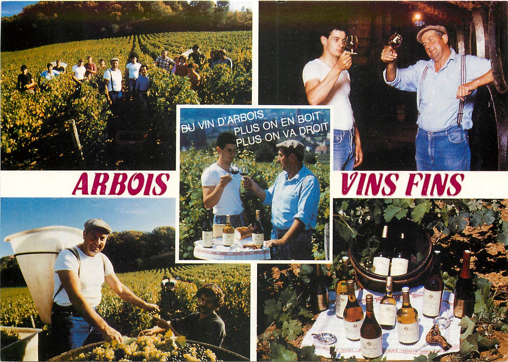 CPM Arbois Jura Jacques Tissot Vigneron 