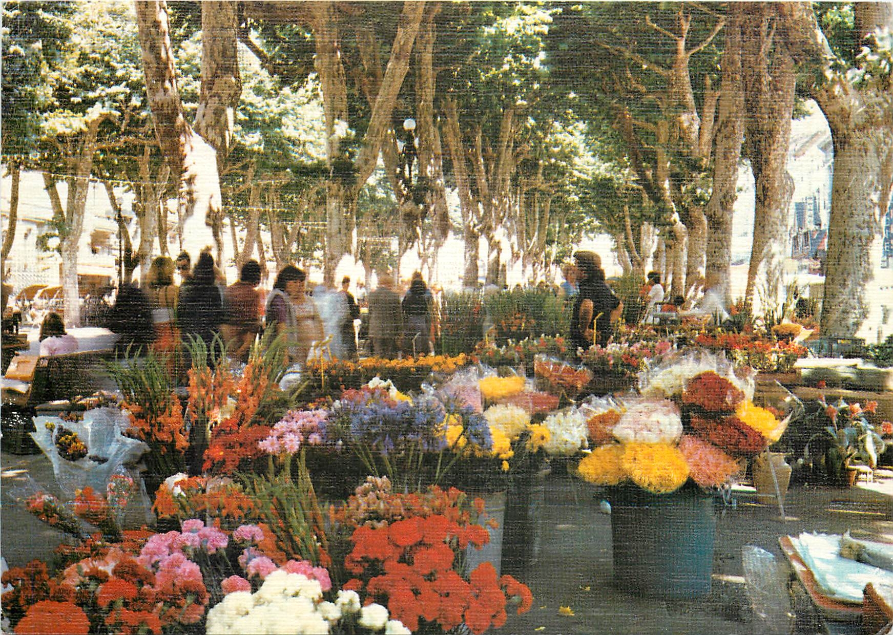 CPM Beziers Herault Le marche aux fleurs sur les allees 