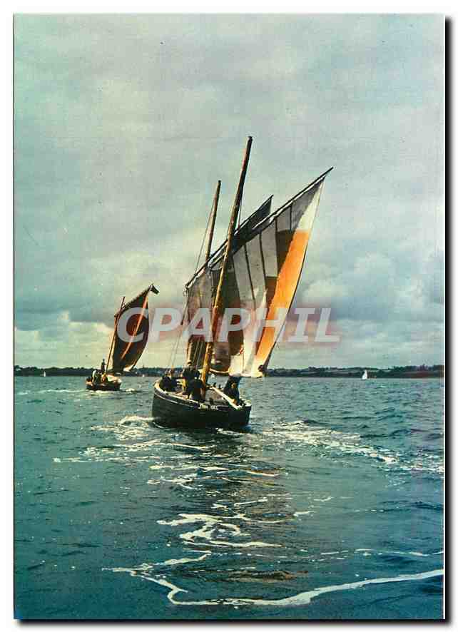 Bateaux de plaisance - Voiliers V.31 - Les 'Sinagots' pirates du Golfe du Morbihan — Éditions d'Art JOS. de Châteaulin