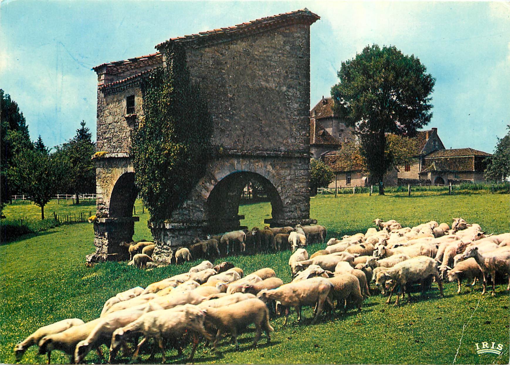 CPM Le Tot Terre des Merveilles Vieux pigeonnier Quercinois Moutons