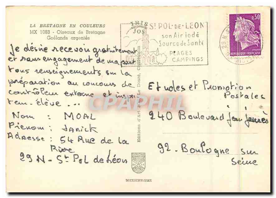CPM La Bretagne en Couleurs Oiseaux de Bretagne Goelands argenies  — Rückseite