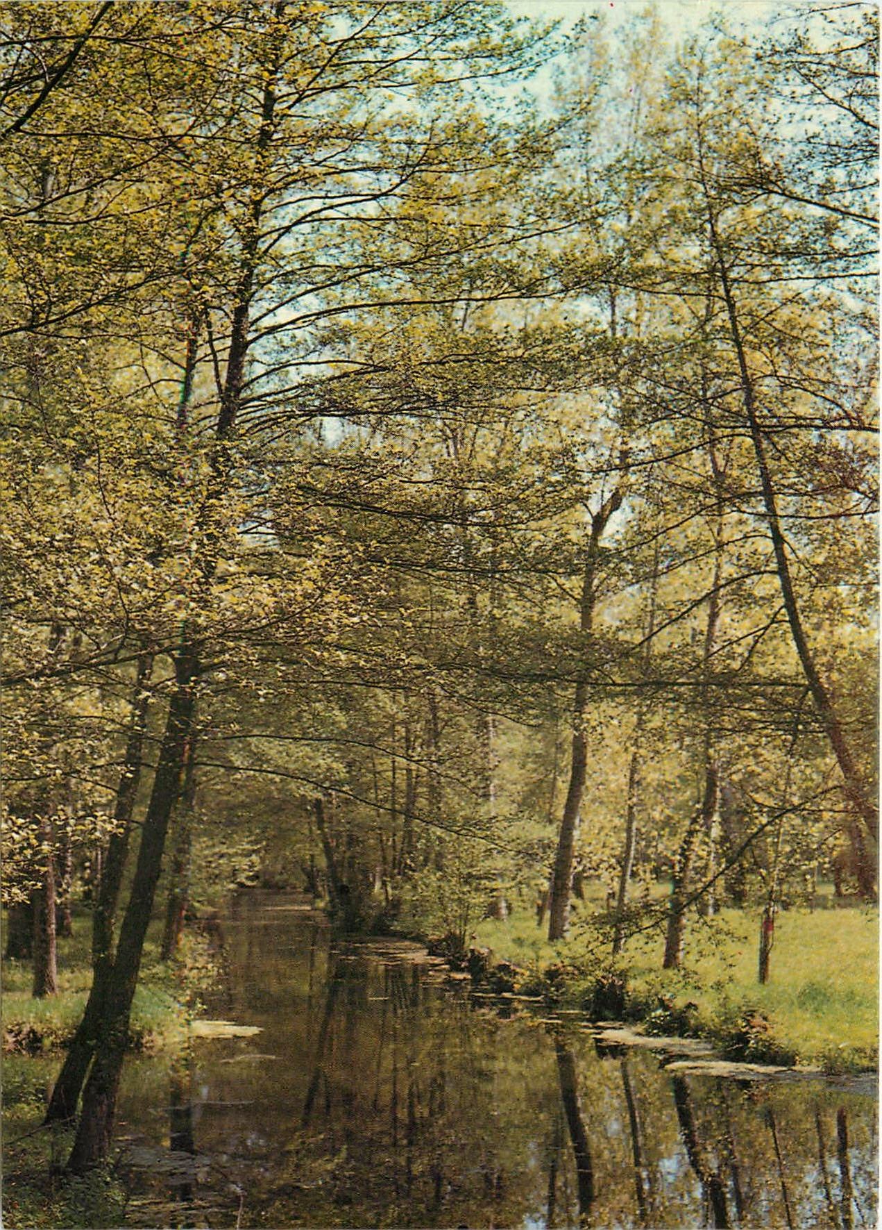 CPM La Venise Verte Deux Sevres Vue typique du Marais Poitevin 