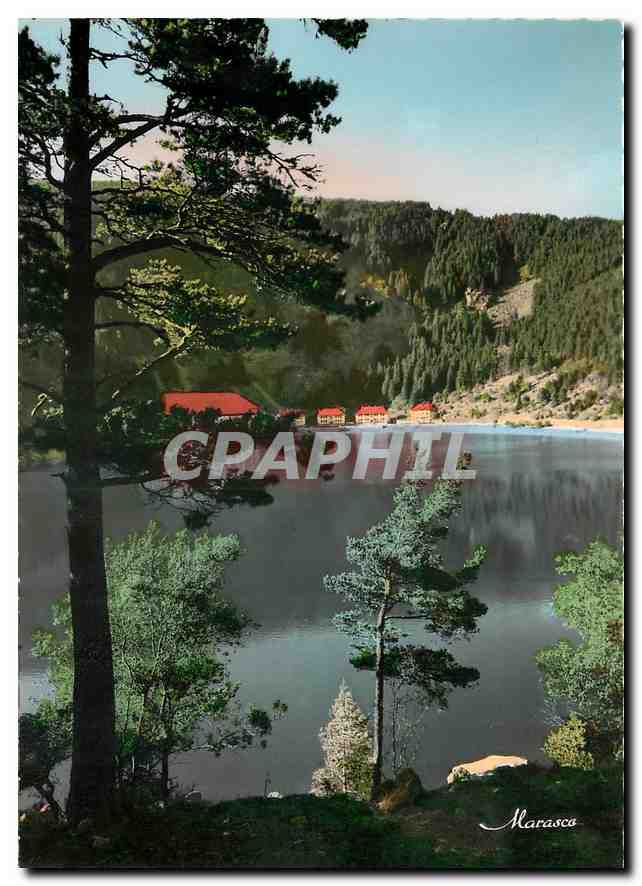 CPM Les Hautes Vosges Le Lac Noir 