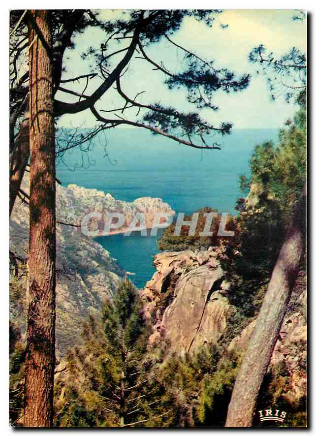 CPM Charmes et Couleurs de la Corse Des Montagnes de Porphyres roses qui plongent dans la mer telles