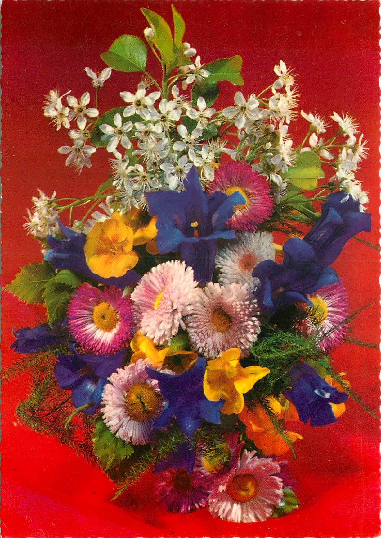 CPM Fleurs