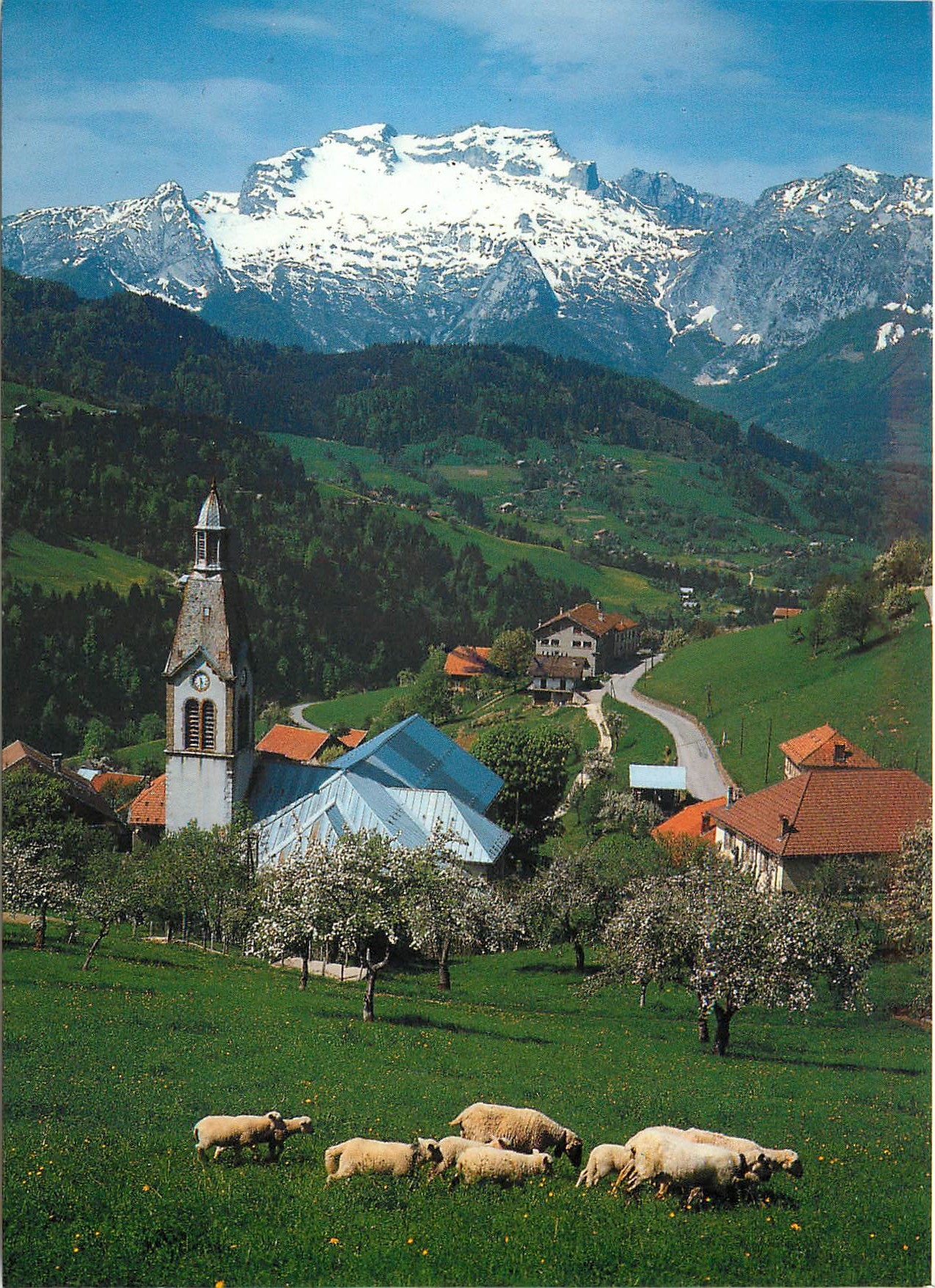 CPM Massif des Aravis Haute Savoie Manigod Vue partielle Le Massif de la Tournette 