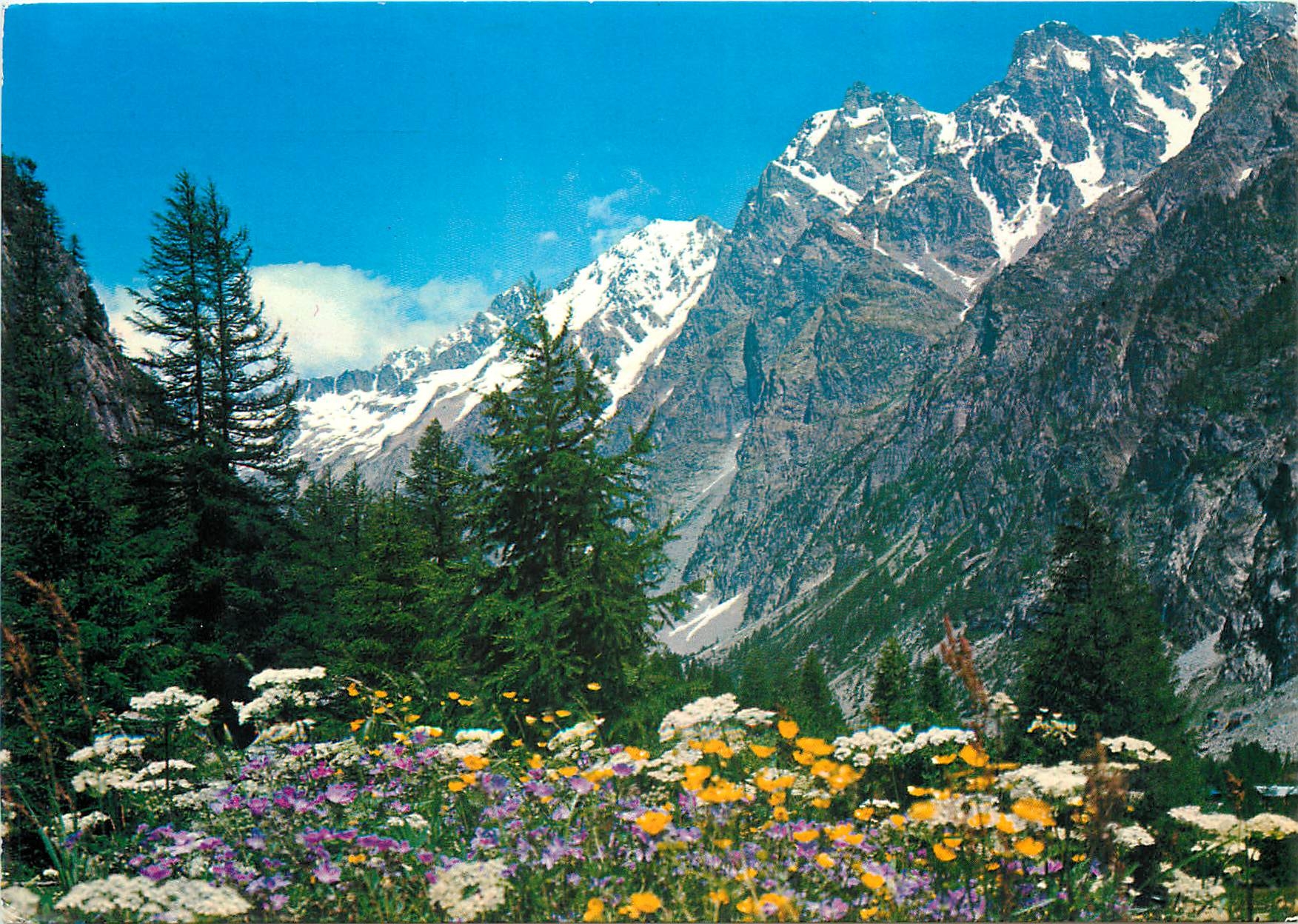 CPM Soleil de Montagne Region du Pelvoux Le Parc National des Ecrins et sa flore 