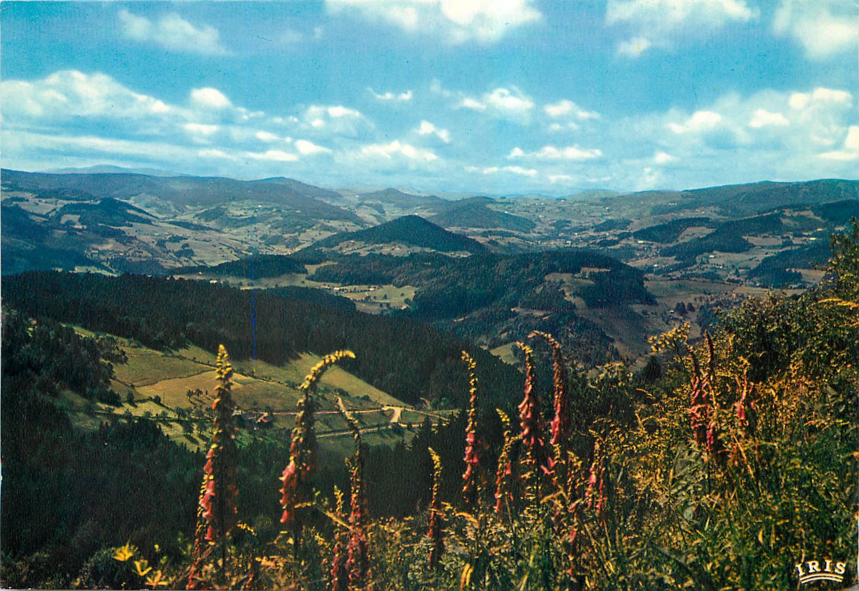 Les Vosges pittoresques — Vue panoramique sur les sommets — Iris Mexichrome