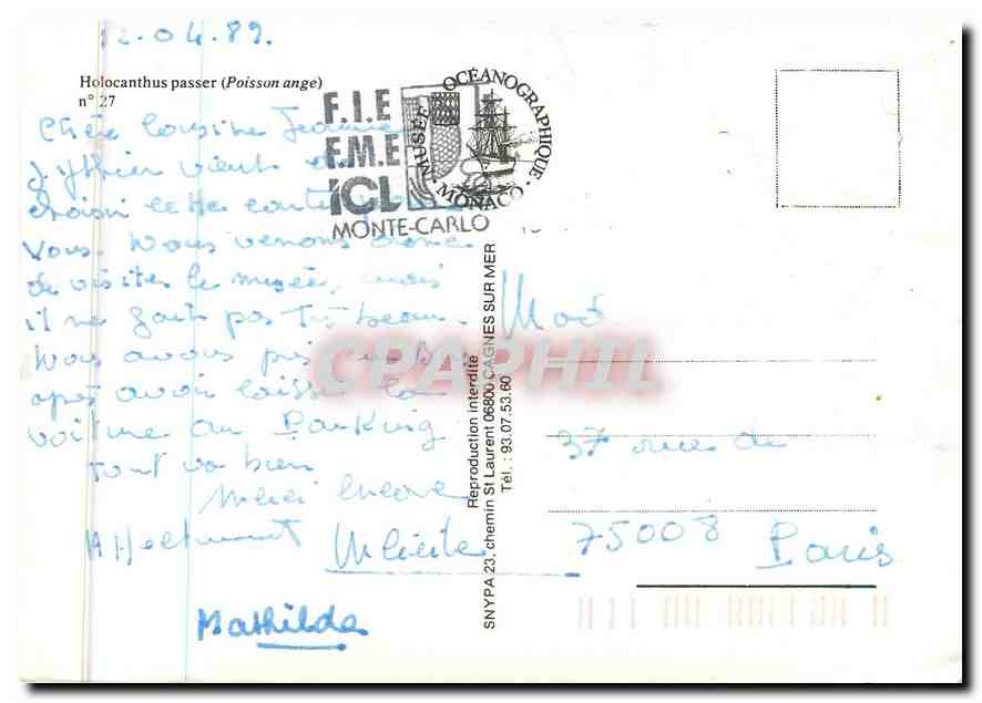 CPM Holocanthus passer Poisson ange  — Verso