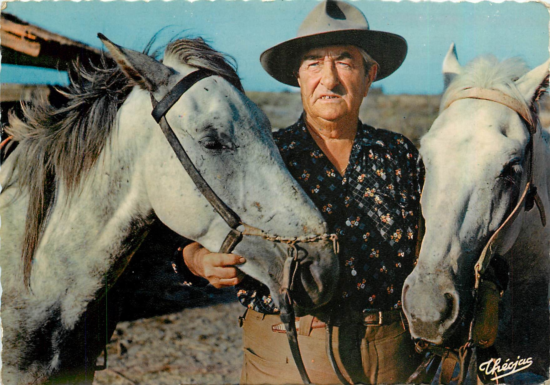 CPM La Provence et son Folklore La Camargue La Gardian et ses chevaux Folklore
