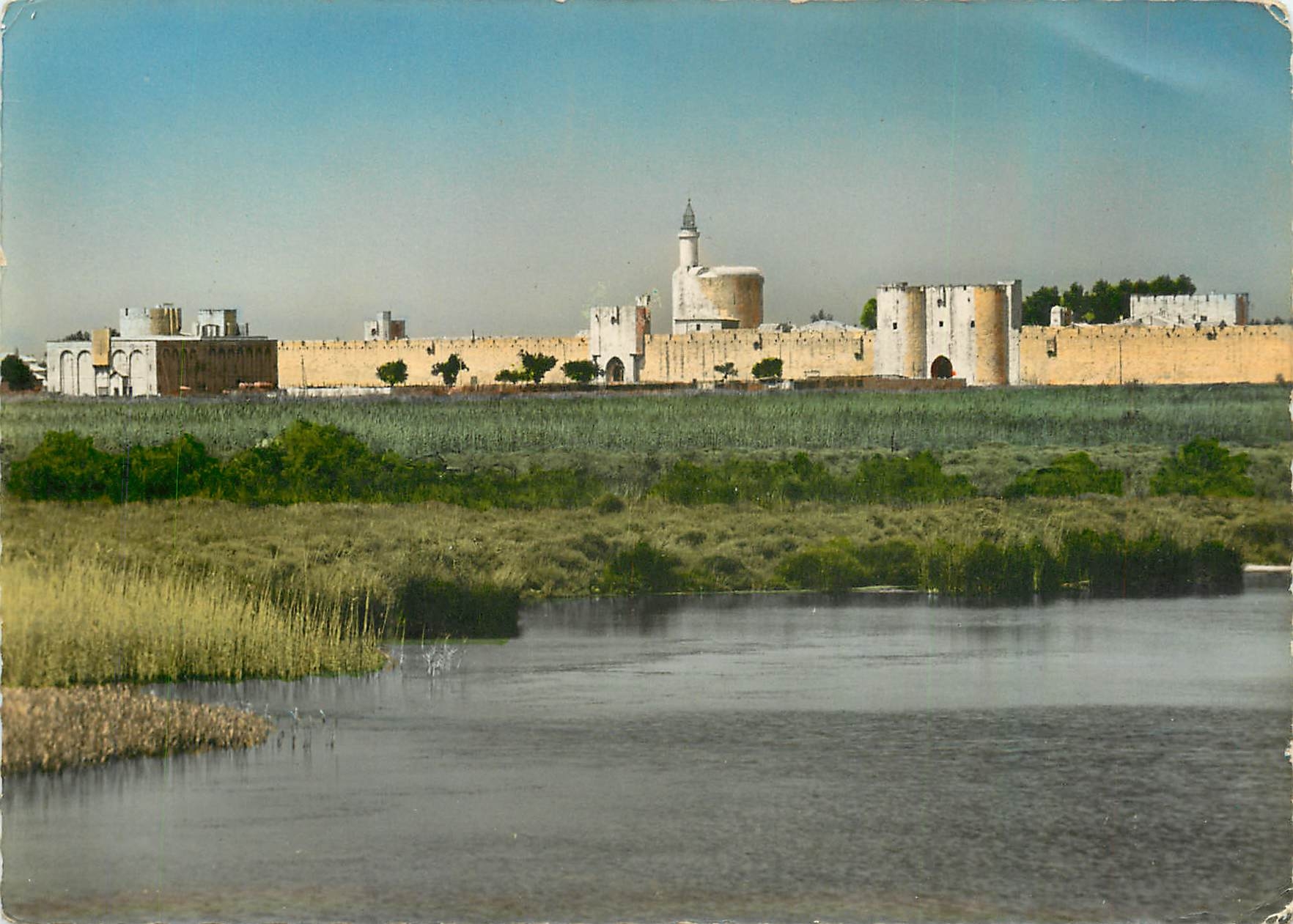 CPM Aigues Mortes Vue sur les remparts et la Tour de Constance 