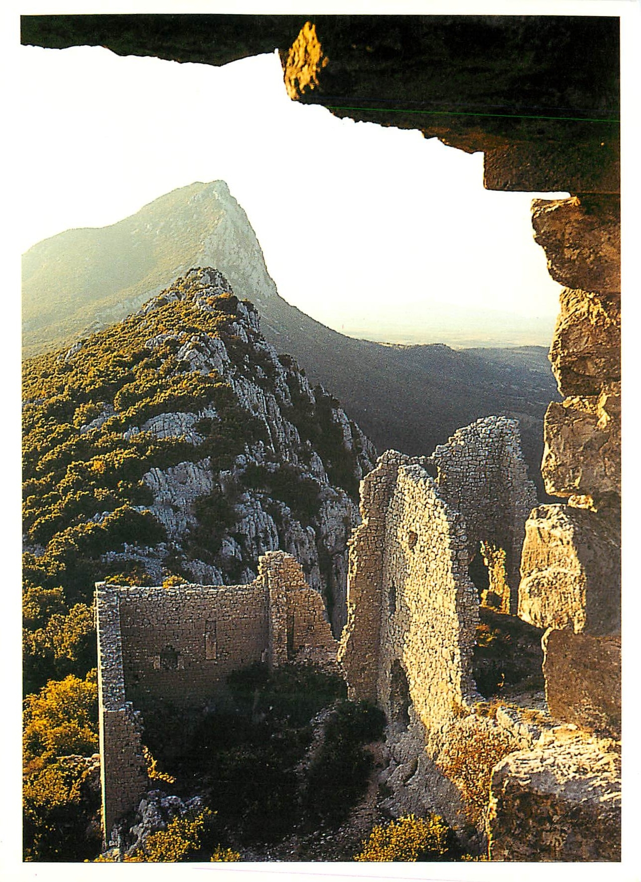 CPM Languedoc Le Pic Sant Loup vu du chateau de Montferrant 