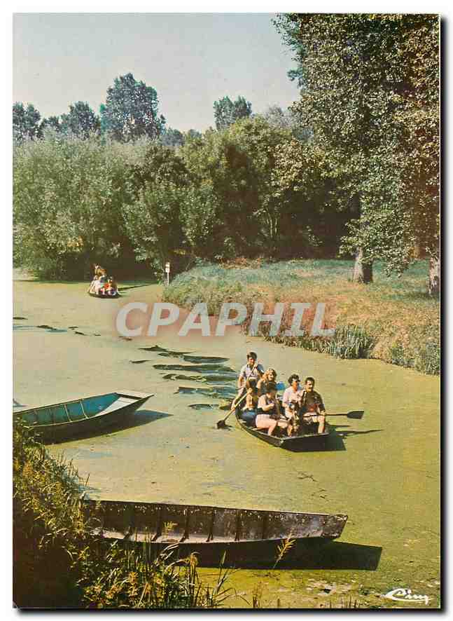 CPM La Venise Verte Promenade en barque dans une conche du Marais Poitevin 