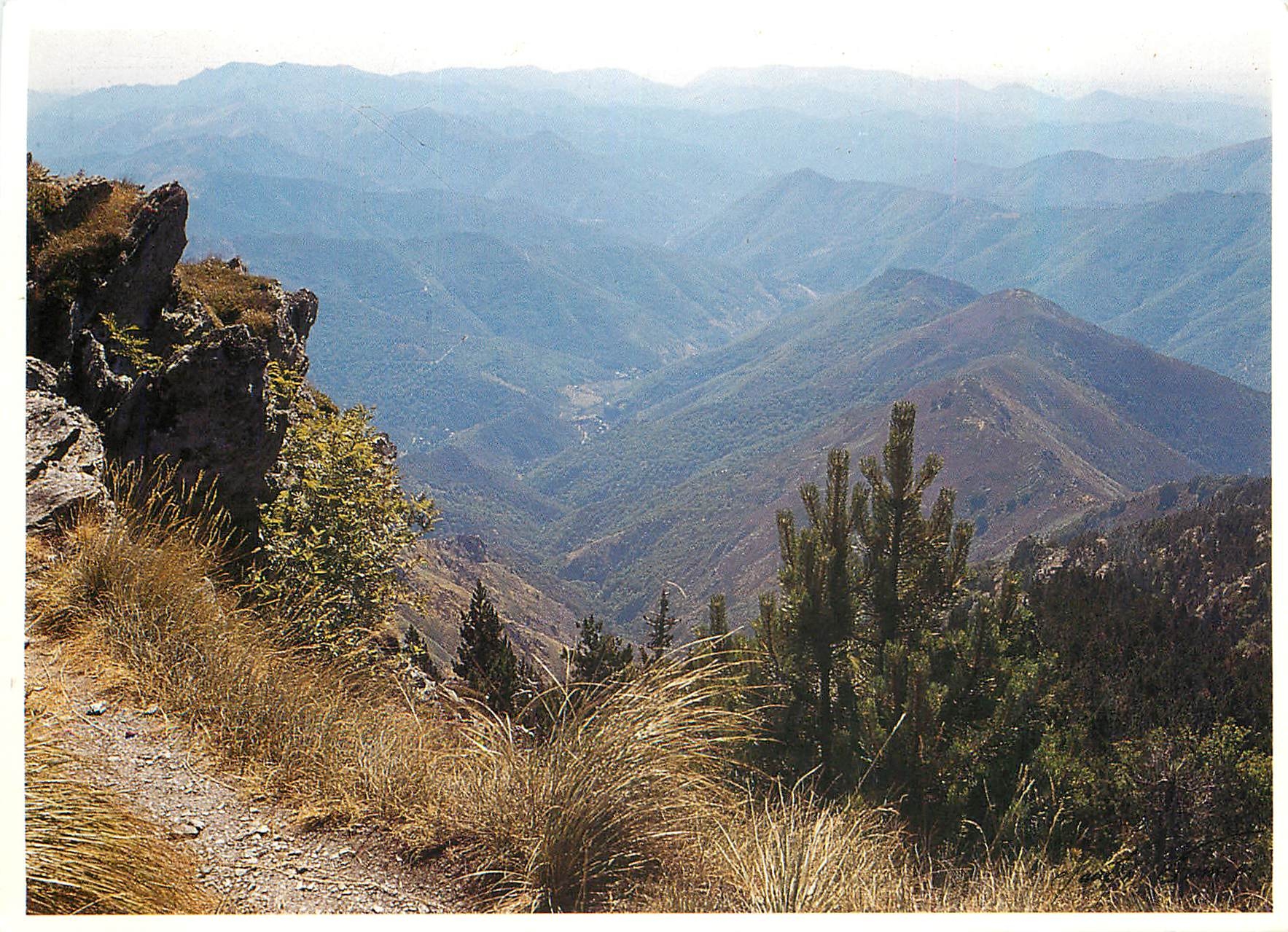 CPM Cevennes Mont Aigoual Vue vers le col du Pas 