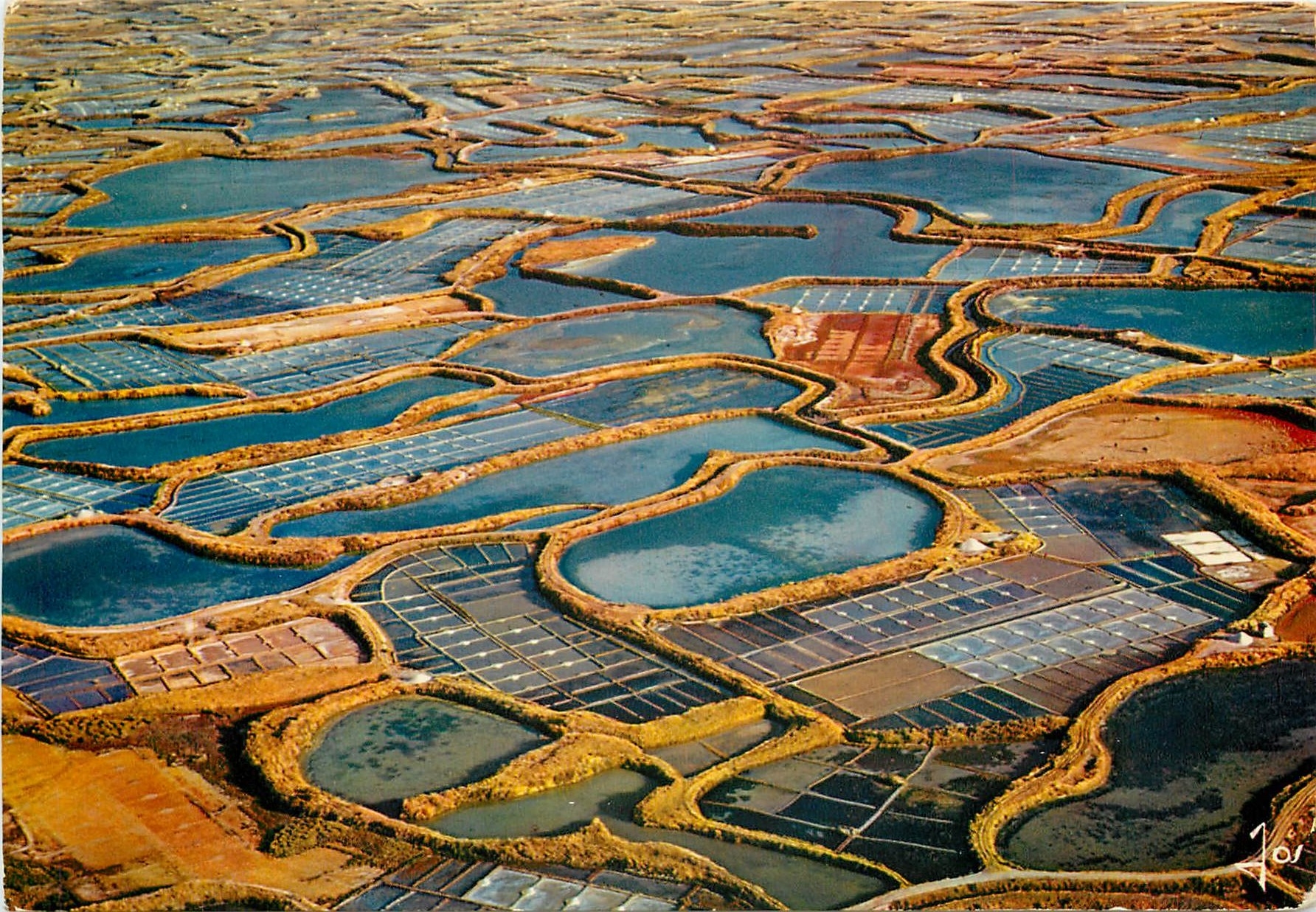 CPM La Bretagne en Couleurs Guerande L A La Mosaique des Marais Salants 