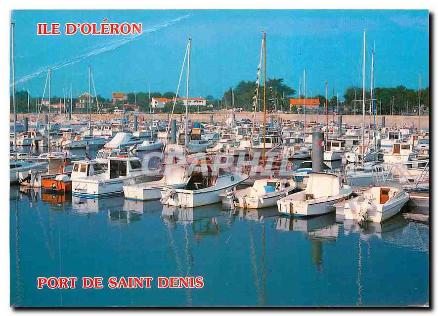 CPM Ile d'Oleron Ch Mme Saint Denis Le port de plaisance de Saint Denis 