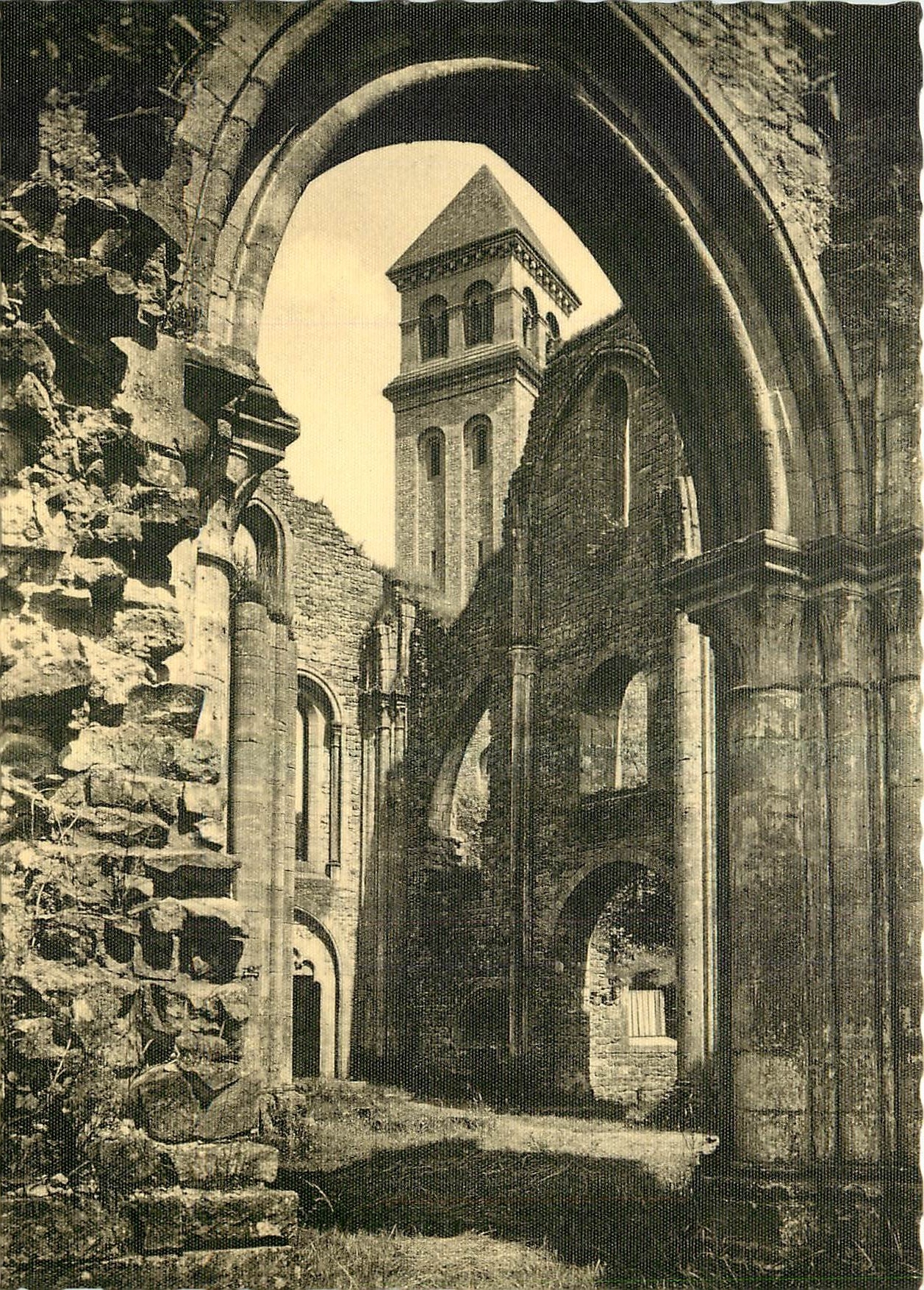CPM Abbaye N D d'Orval Le clocher vu des ruines 