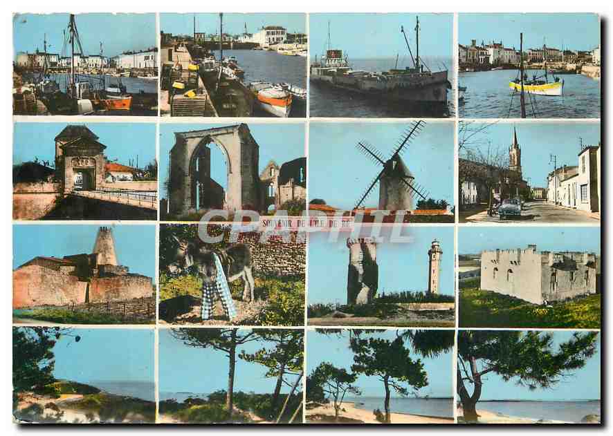 CPM Ile de Re Vues principales Moulin a vent Ane