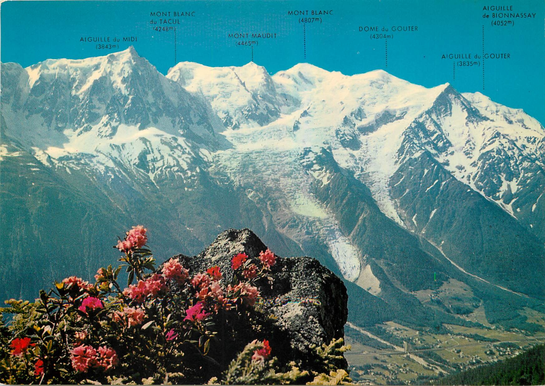 CPM Chamonix Mont Blanc Haute Savoie La Chaine du Mont Blanc vue du Brevent 