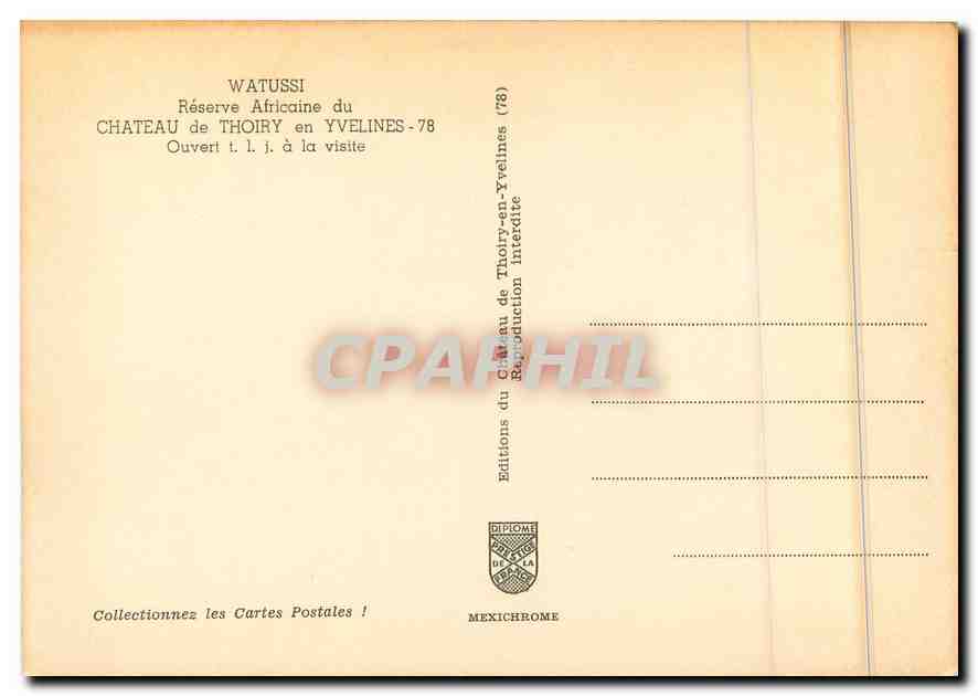 CPM Watussi Reserve africaine du Chateau de Thoiry en Yvelines  — Back
