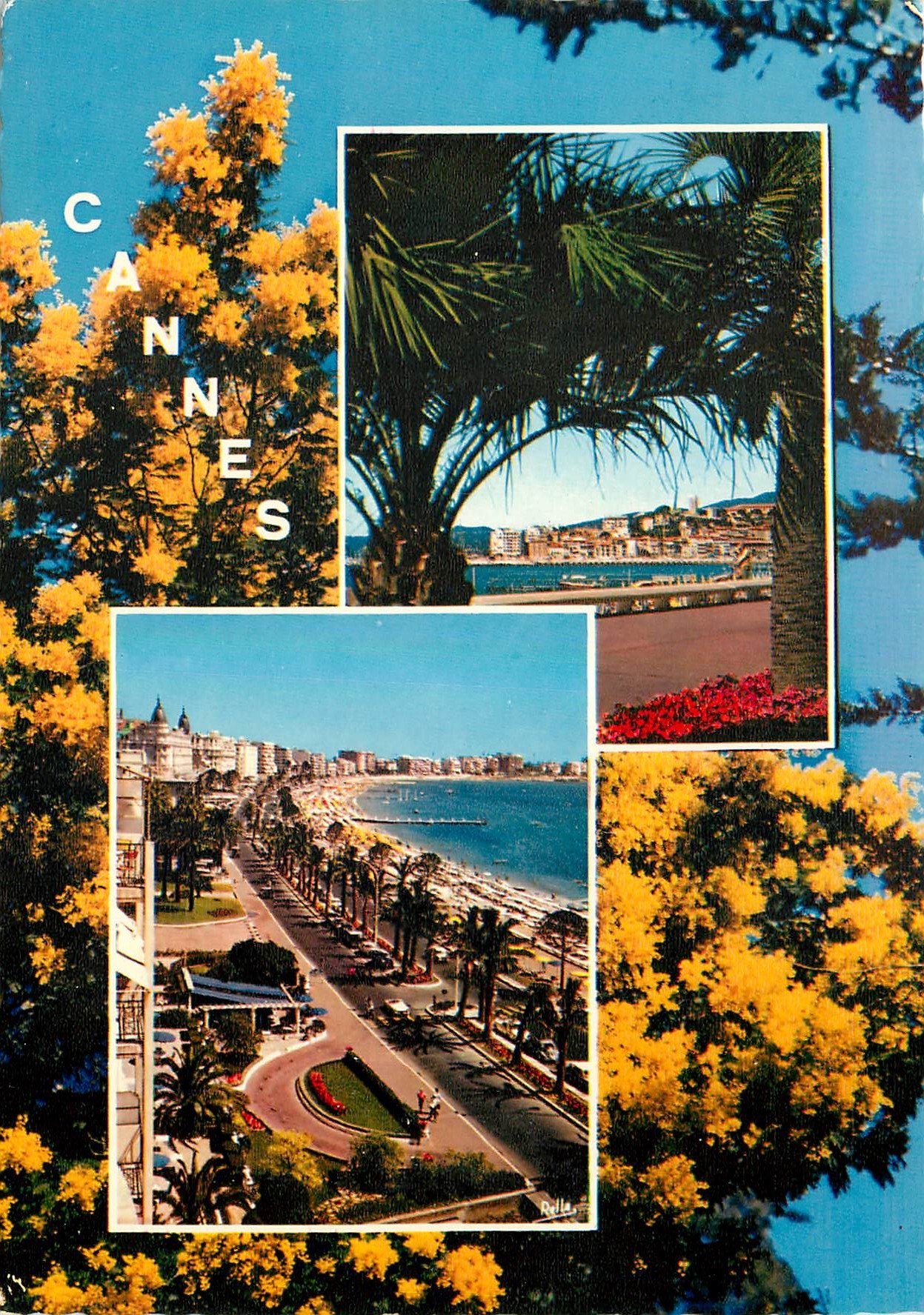 CPM La Cote d'Azur Cannes A M le Quai Saint Pierre et le Suquet vus de la Croisette la Croisette et 