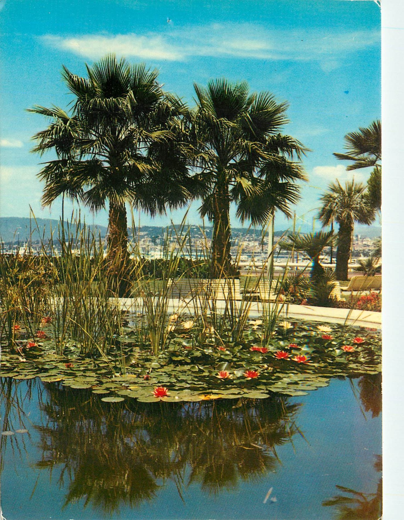 CPM La Cote d'Azur Cannes Jardin du Port Pierre Canto 